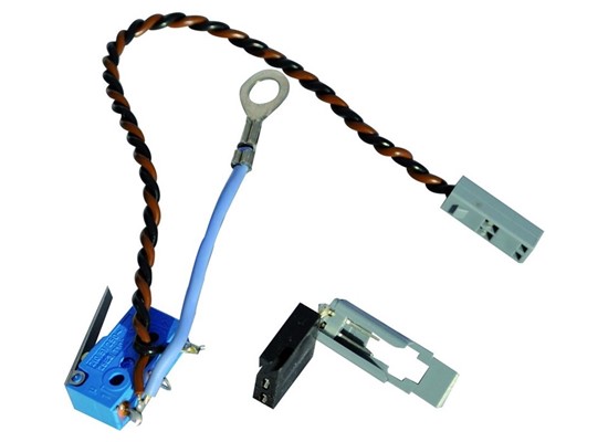 S2200 Auto Ignition Micro Switch