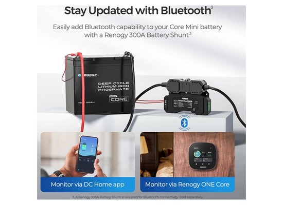 Core Mini - 100Ah Lithium Iron Phosphate Battery Thumb 3